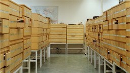 Debora Elgeholm ”The Archives” (2007). Still from video.