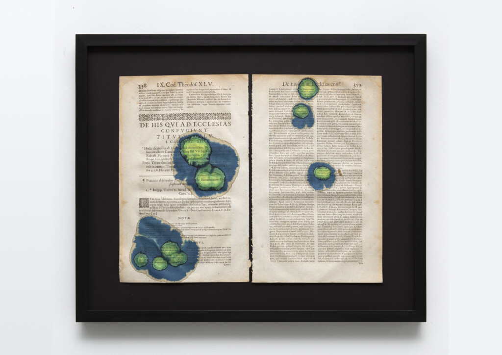 framed artwork by Godlin+Senneby with tissue dye on the word immunity as it appears in Roman law