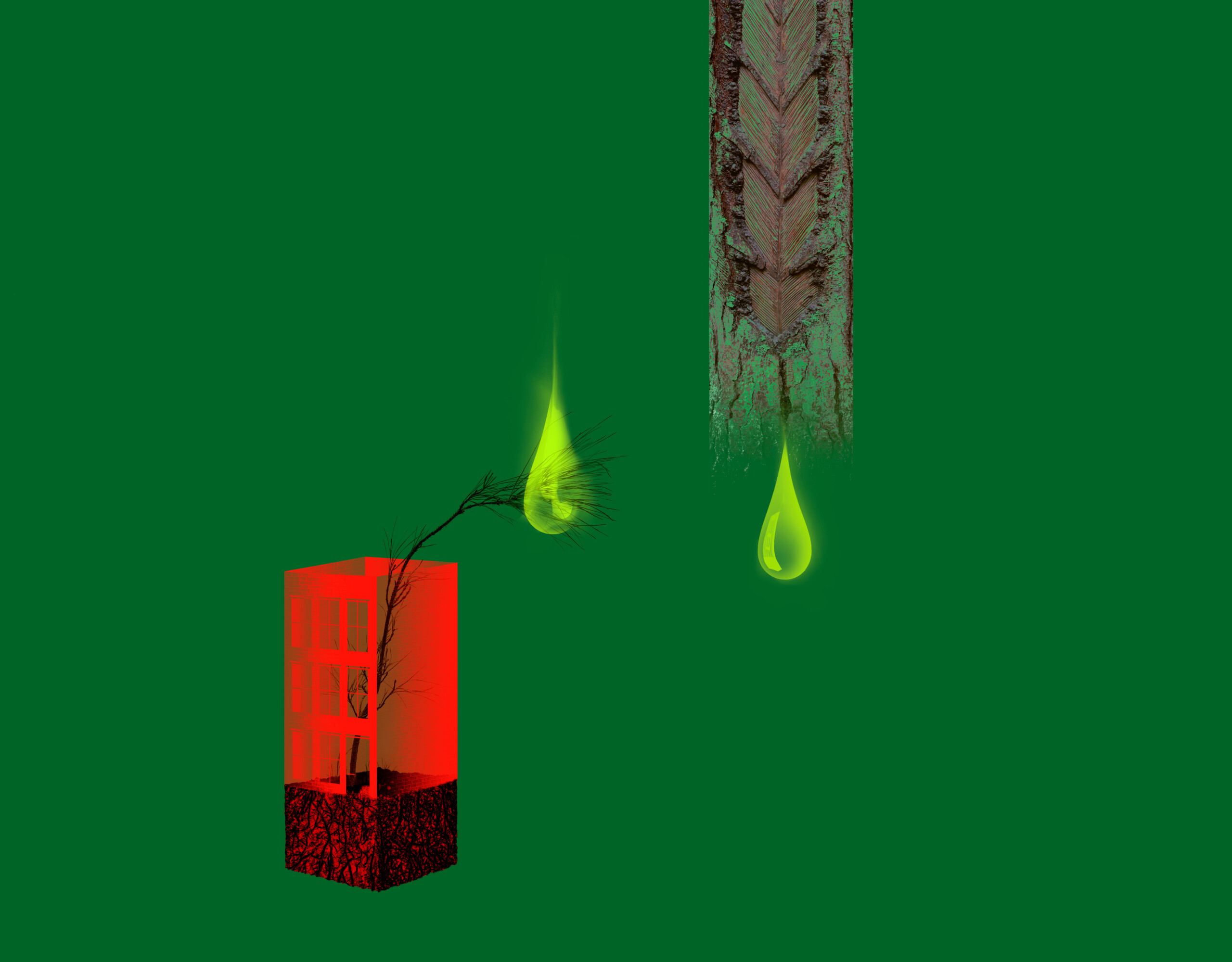 Illustration on moss green background with a hanging pine, red brownstone and lime green turpentine formed as tears